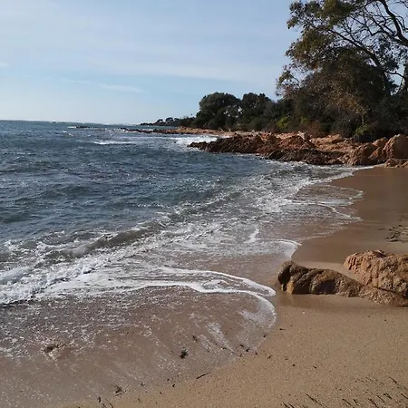 Barbiccaja * Ajaccio (Corsica)